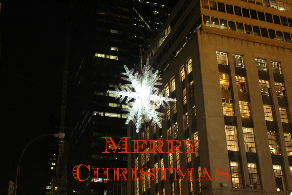 Merry Christmas; 'TisTheSeason; 2013 NYC Holiday Windows